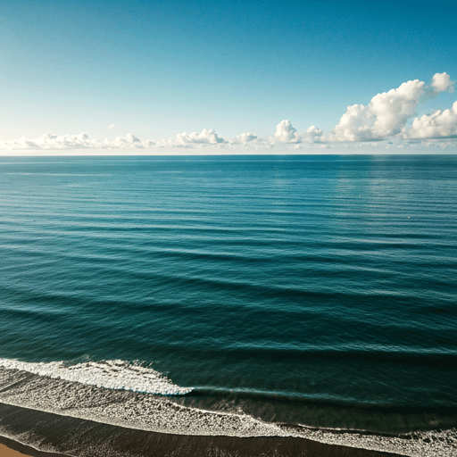 Volunteers doing a Strandskoonmaak before the sokkie